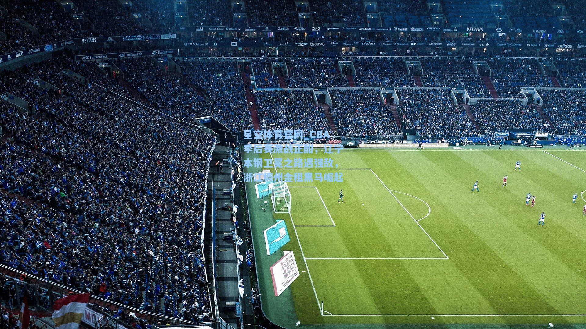 CBA季后赛激战正酣,辽宁本钢卫冕之路遇强敌,浙江稠州金租黑马崛起